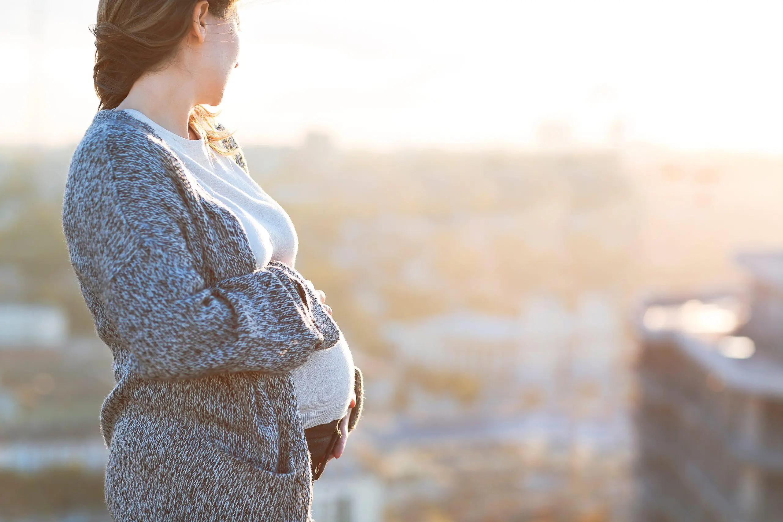 Menstruation May Precondition the Uterus for Successful Pregnancy: A Review