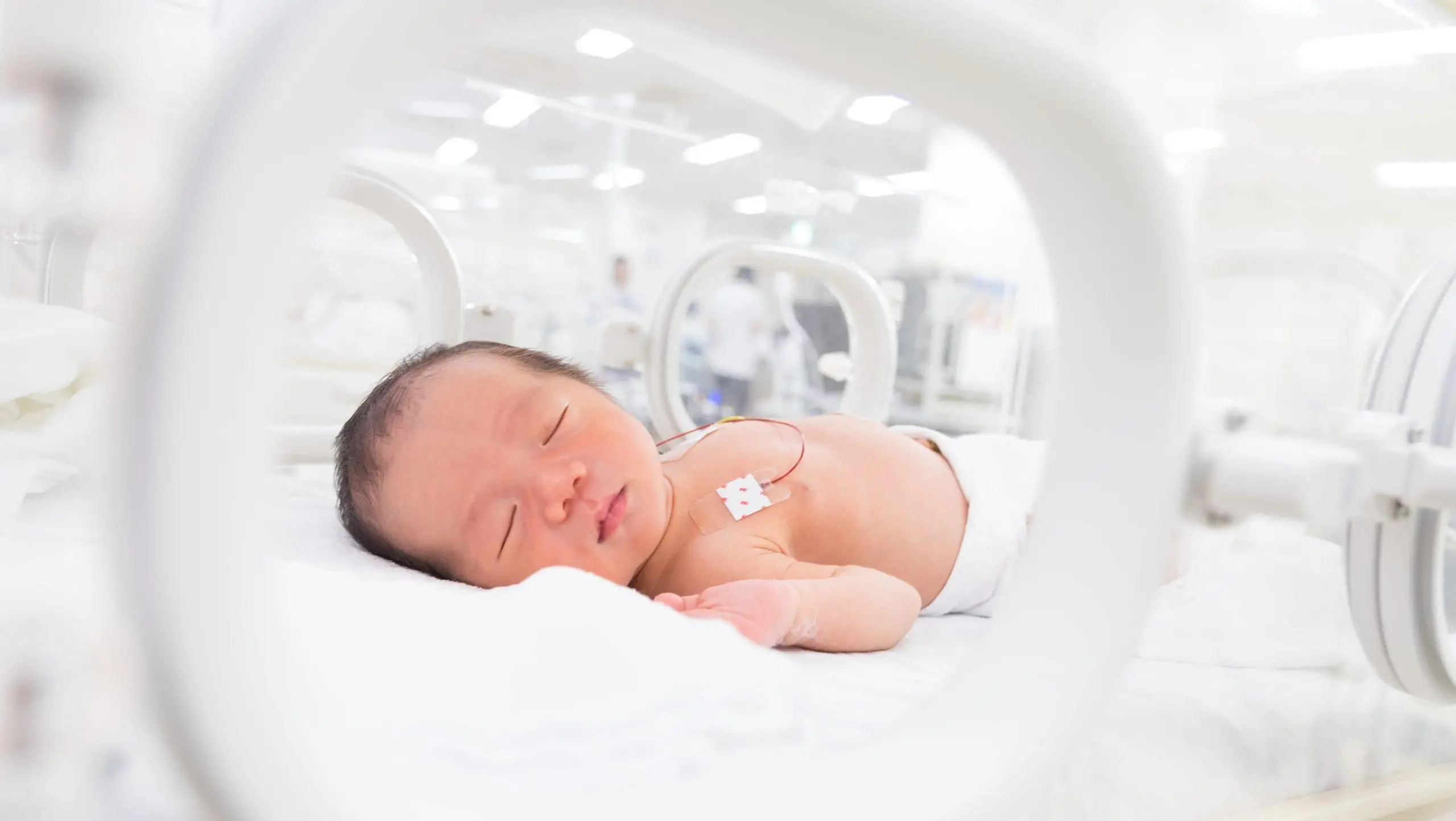 AdobeStock 229466697 scaled