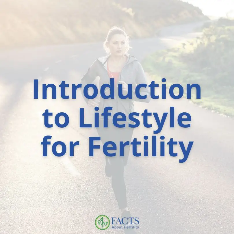 introduction to lifestyle for fertility thumbnail