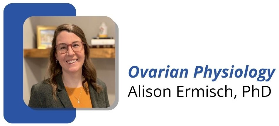 Alison Ermisch speaker